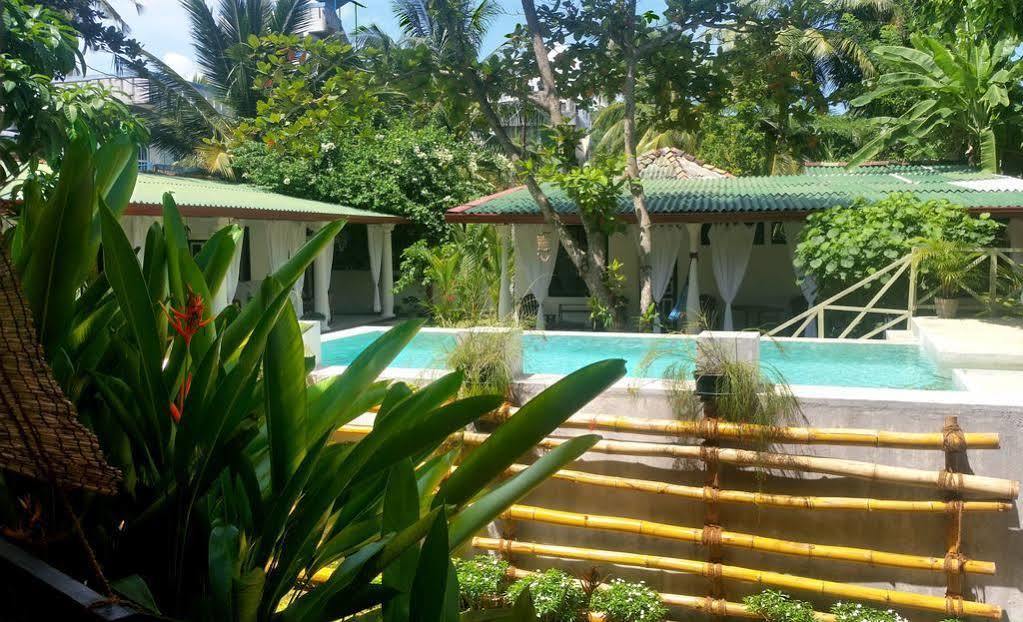 Nature Villa (Adults Only) Unawatuna Eksteriør billede